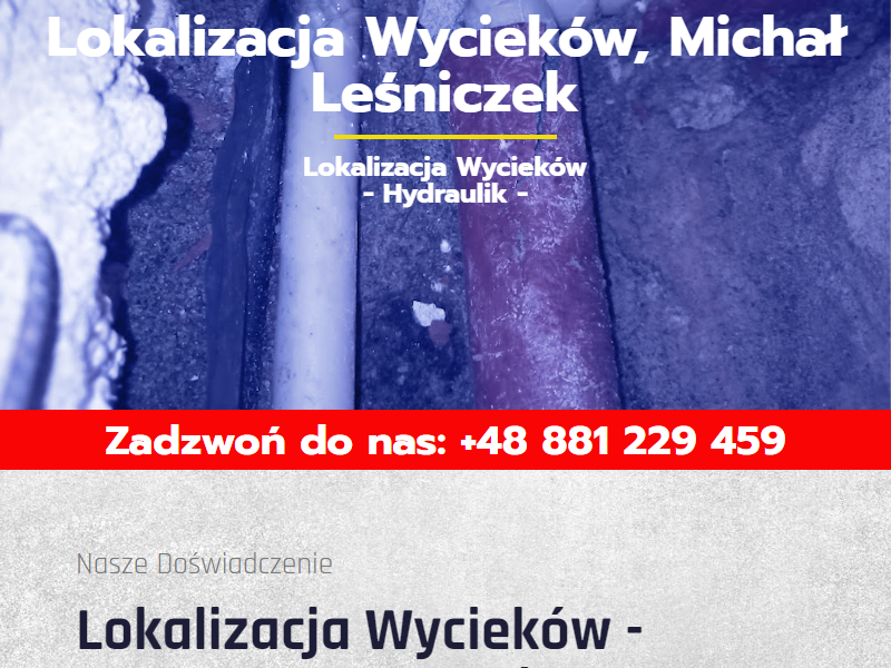 Lokalizacja przecieków - michallesniaczek.pl